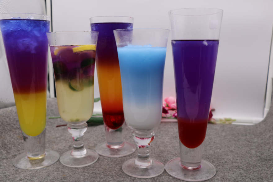 太原泰国蝶豆花培训